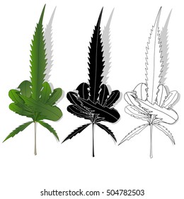 Cannabis leaf vector isolated on white background