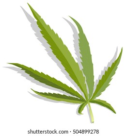 Cannabis leaf vector isolated on white background