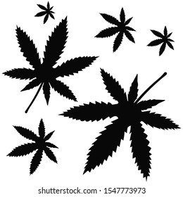 Cannabis leaf vector patter background