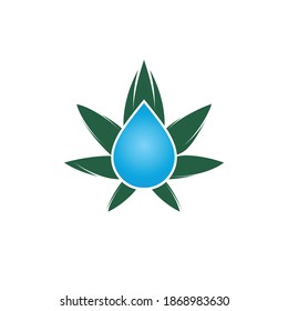 Icono de diseño del logotipo de gota de agua de hoja de cannabis. Concepto del logotipo del vector del aceite de cannabis.