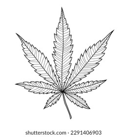 cannabis leaf or weed leaves vector. cannabis leaf or weed leaves vector isolated on white background. cannabis leaf or weed leaves