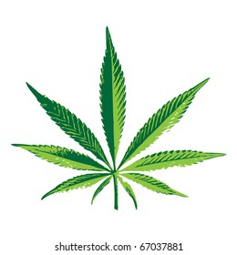 Cannabis leaf for your design, vector illustration