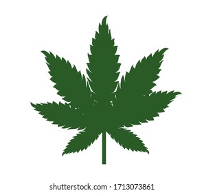 Cannabis leaflet illustration. Indica Cannabis Vector on white background.