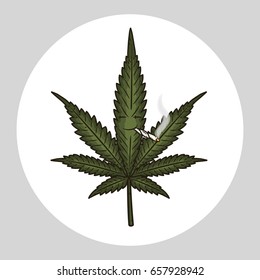 Cannabis leafs. Cartoon comic character. 
