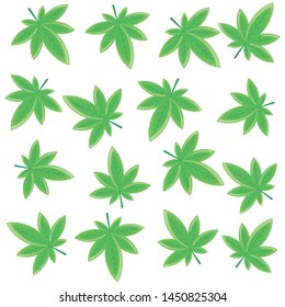 cannabis leafs plant nature pattern