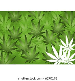cannabis leave background