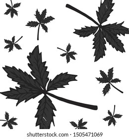 Cannabis leaves background texture and hand drawn,Fall and Autumn season.