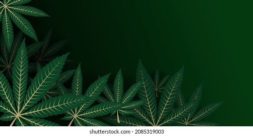 Cannabis leaves are composed in a layout with empty space in the top corner for titles or headlines. Marihuana, Sativa, and Indica leaf over each other with depth perspective. Use as a header, banner 