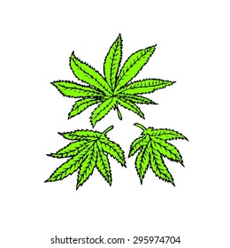 Cannabis leaves icon