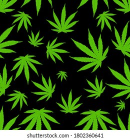 Cannabis leaves pattern background. Marijuana vector seamless pattern.