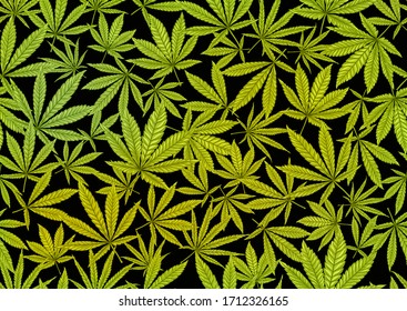El cannabis deja un patrón transparente, fondo. Ilustración vectorial en colores verdes Aislada en fondo negro.