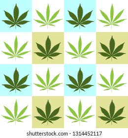 Cannabis leaves seamless pattern on white background. Vector