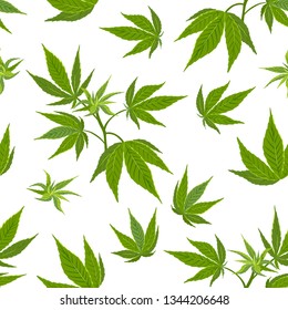 Cannabis leaves seamless pattern on white background. Vector illustration of green hemp in cartoon simple flat style.