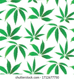 Cannabis Leaves Seamless Vector Pattern Background. Hemp Foliage White Green Backdrop. Painterly Line Art Botanical Marijuana Design. All Over Print For Wellness, Health Concept,packaging,print