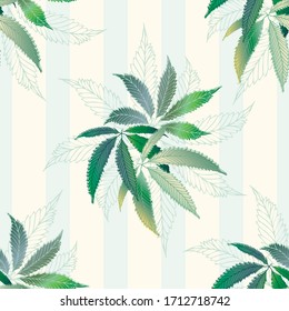 El cannabis deja un fondo de patrón vectorial transparente. Follaje de cáñamo sobre fondo a rayas. Diseño de marihuana botánica de líneas antiguas. Elegante para el bienestar, la salud, el autocuidado, el concepto de hogar