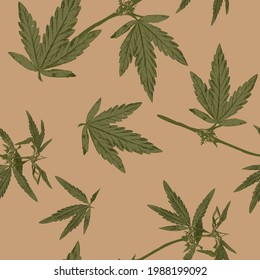 Las hojas y tallos de cannabis siguen un patrón ininterrumpido. Embalaje o diseño de tejidos para productos vegetales naturales. Gráficos vectoriales.