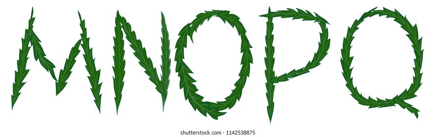 cannabis. letter of weed. vector.