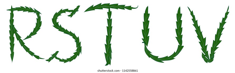 Cannabis. letter of weed. vector.
