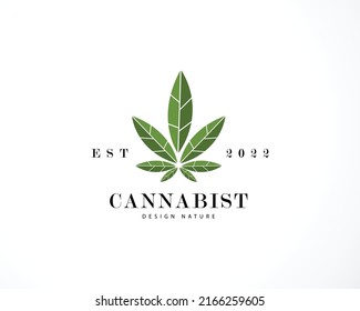 concepto de diseño de marca de emblema comercial creativo del logotipo de cannabis