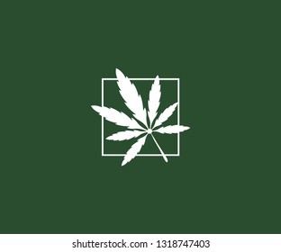 cannabis logo design template
