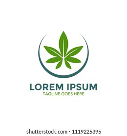 cannabis logo design vector illustration