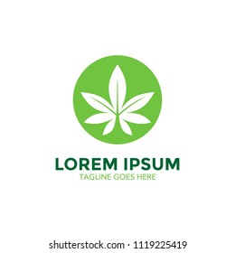 cannabis logo design vector illustration
