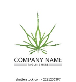 cannabis logo and marijuana leaf icon vector