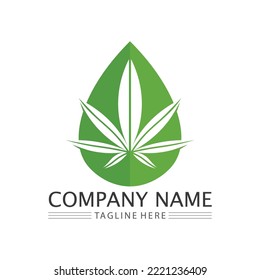 cannabis logo and marijuana leaf icon vector