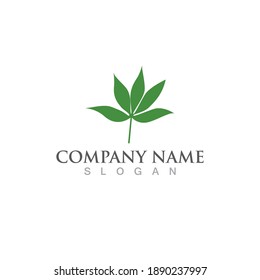 cannabis logo and symbol vector
