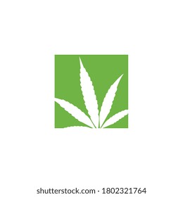 Cannabis logo template design vector illustration