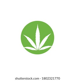 Cannabis logo template design vector illustration