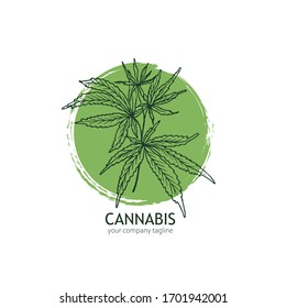 Cannabis logo template. Hand drawn hemp leaves. Vector illustration, eps8 