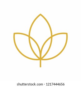 Cannabis maple  logo icon vector