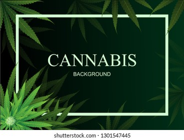  Cannabis or Marijuana background. Frame Green Leaf. Green background. Realistic vector illustration