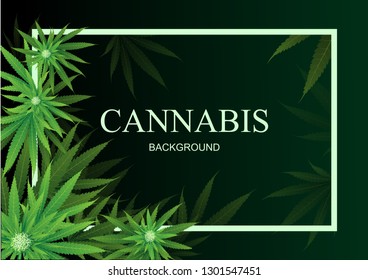  Antecedentes de cannabis o marihuana. Hoja verde marco. Fondo verde. Ilustración vectorial realista