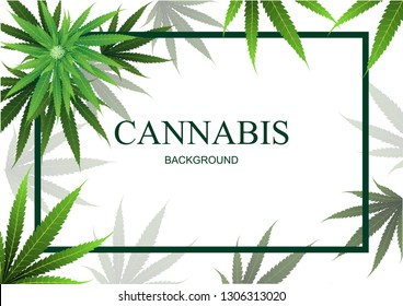 Cannabis Marijuana Background Frame Green Leaf Stock Vector (Royalty ...