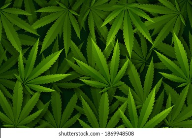 El canabis o la marihuana. Ilustración vectorial