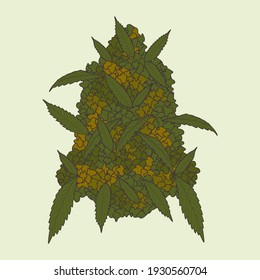 cannabis marijuana bud and leaf design sativa ganja weed
