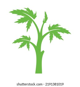 Cannabis Marijuana Hemp Leaf For CBD THC Logo Design