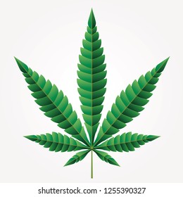 Cáñamo de marihuana de cannabis, icono plano de hoja, hierba de medicina verde vectorial, hierba vectorial