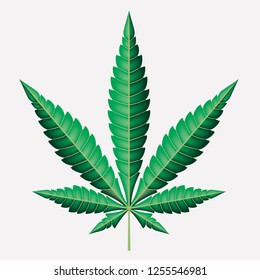 Cannabis marijuana hemp, leaf flat icon, vector green medicine weed, vector herb