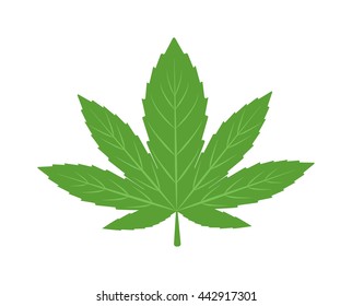 Cannabis marijuana hemp leaf flat icon vector green medicine weed vector herb