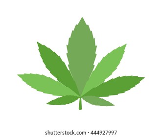 Cannabis marijuana hemp leaf flat icon vector green medicine weed vector herb