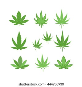 Cannabis marijuana hemp leaf flat icon vector green medicine weed vector herb