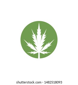  Cannabis marijuana hemp leaf logo and symbol
