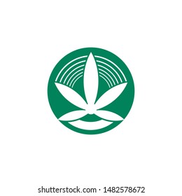  Cannabis marijuana hemp leaf logo and symbol