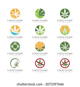 Logo y símbolo de la hoja de cáñamo de marihuana de cannabis