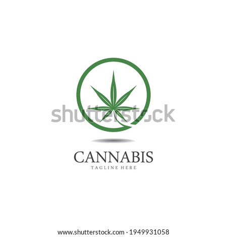 Cannabis marijuana hemp leaf logo and symbol