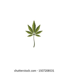 Cannabis Marijuana Hemp Pot Leaf Logo Vector for CBD Cannabidiol Cannabis Hemp Marijuana Medical Pharmaceutical Industry