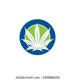 cannabis marijuana leaf design vector